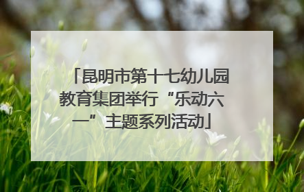 昆明市第十七幼儿园教育集团举行“乐动六一”主题系列活动
