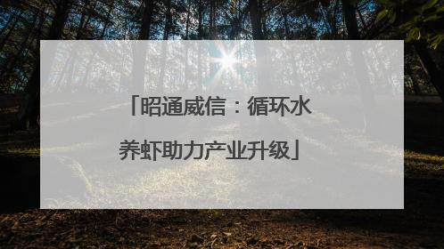 昭通威信：循环水养虾助力产业升级