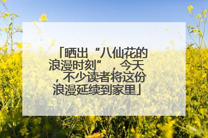 晒出“八仙花的浪漫时刻”，今天，不少读者将这份浪漫延续到家里