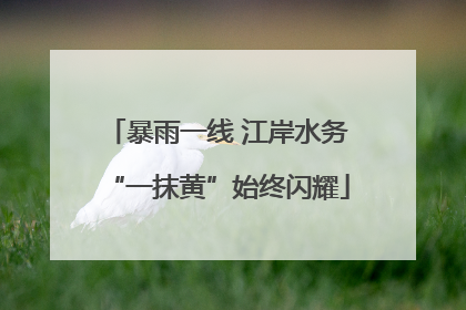 暴雨一线 江岸水务“一抹黄”始终闪耀