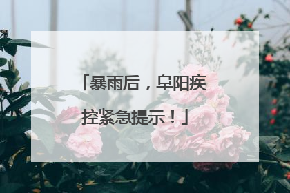暴雨后，阜阳疾控紧急提示！