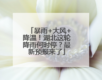 暴雨+大风+降温！湖北这轮降雨何时停？最新预报来了