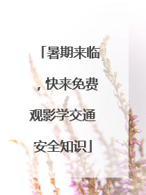 暑期来临，快来免费观影学交通安全知识
