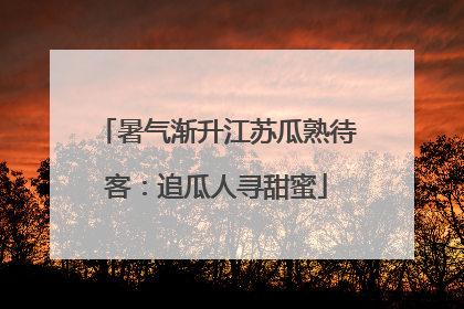 暑气渐升江苏瓜熟待客：追瓜人寻甜蜜