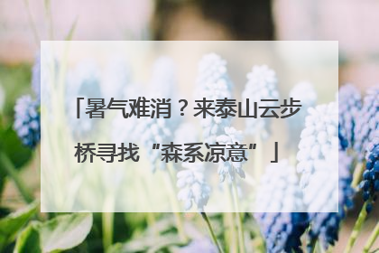 暑气难消？来泰山云步桥寻找“森系凉意”
