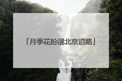 月季花扮靓北京道路