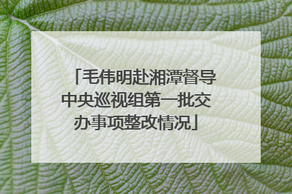 毛伟明赴湘潭督导中央巡视组第一批交办事项整改情况