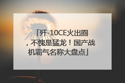 歼-10CE火出圈，不愧是猛龙！国产战机霸气名称大盘点
