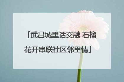 武昌城里话交融 石榴花开串联社区邻里情