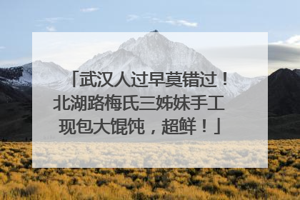 武汉人过早莫错过！北湖路梅氏三姊妹手工现包大馄饨，超鲜！