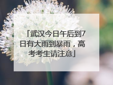 武汉今日午后到7日有大雨到暴雨，高考考生请注意