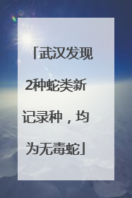 武汉发现2种蛇类新记录种，均为无毒蛇