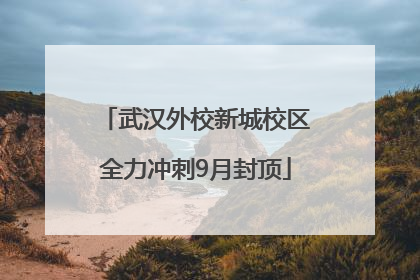 武汉外校新城校区全力冲刺9月封顶