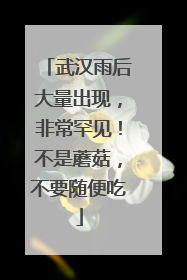 武汉雨后大量出现，非常罕见！不是蘑菇，不要随便吃