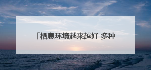栖息环境越来越好 多种夏候鸟陆续来厦恋爱生娃