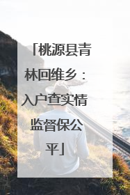 桃源县青林回维乡：入户查实情 监督保公平