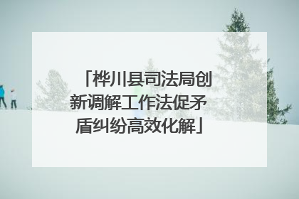 桦川县司法局创新调解工作法促矛盾纠纷高效化解