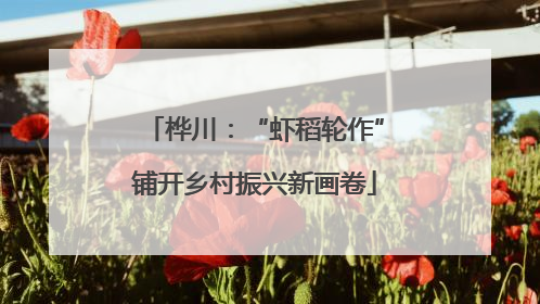 桦川：“虾稻轮作”铺开乡村振兴新画卷