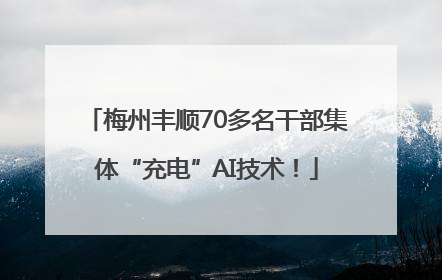 梅州丰顺70多名干部集体“充电”AI技术！