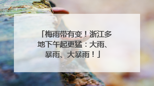 梅雨带有变！浙江多地下午起更猛：大雨、暴雨、大暴雨！