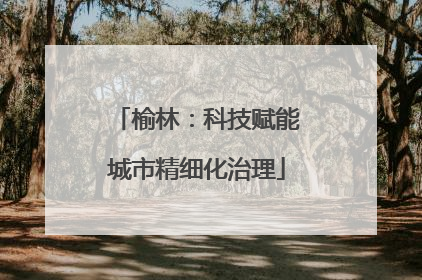 榆林：科技赋能城市精细化治理