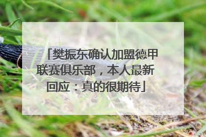 樊振东确认加盟德甲联赛俱乐部，本人最新回应：真的很期待
