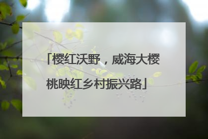 樱红沃野，威海大樱桃映红乡村振兴路
