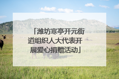 潍坊寒亭开元街道组织人大代表开展爱心捐赠活动