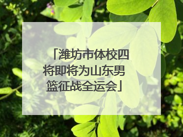 潍坊市体校四将即将为山东男篮征战全运会