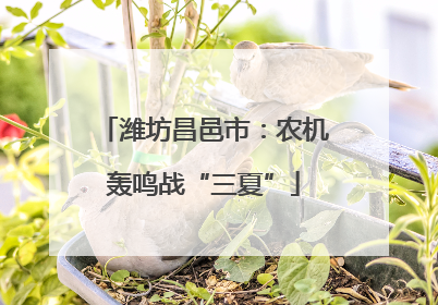 潍坊昌邑市：农机轰鸣战“三夏”