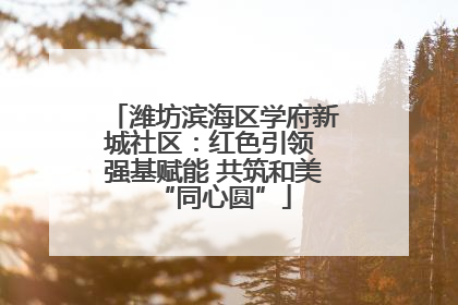 潍坊滨海区学府新城社区：红色引领 强基赋能 共筑和美“同心圆”