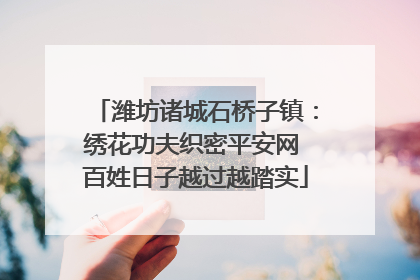 潍坊诸城石桥子镇：绣花功夫织密平安网 百姓日子越过越踏实
