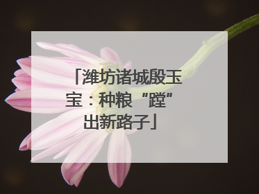 潍坊诸城殷玉宝：种粮“蹚”出新路子