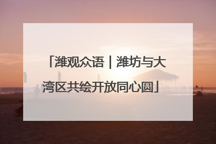 潍观众语｜潍坊与大湾区共绘开放同心圆