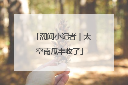 潮闻小记者｜太空南瓜丰收了