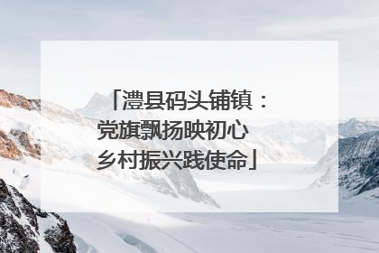 澧县码头铺镇：党旗飘扬映初心 乡村振兴践使命