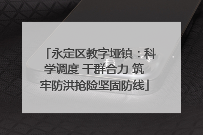 永定区教字垭镇：科学调度 干群合力 筑牢防洪抢险坚固防线