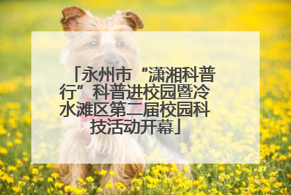 永州市“潇湘科普行”科普进校园暨冷水滩区第二届校园科技活动开幕