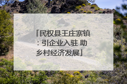 民权县王庄寨镇：引企业入驻 助乡村经济发展