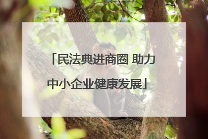 民法典进商圈 助力中小企业健康发展