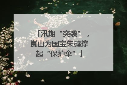 汛期“突袭”，崀山为国宝朱鹮撑起“保护伞”