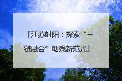 江苏射阳：探索“三链融合”助残新范式