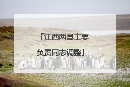 江西两县主要负责同志调整