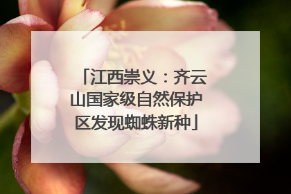 江西崇义：齐云山国家级自然保护区发现蜘蛛新种