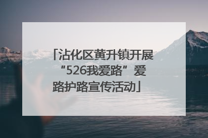 沾化区黄升镇开展“526我爱路”爱路护路宣传活动