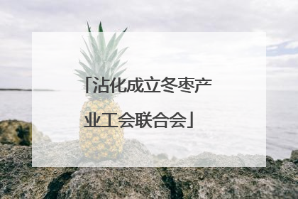 沾化成立冬枣产业工会联合会