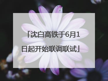 沈白高铁于6月1日起开始联调联试