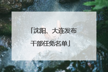 沈阳、大连发布干部任免名单