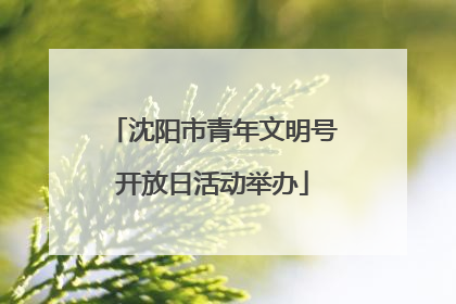 沈阳市青年文明号开放日活动举办