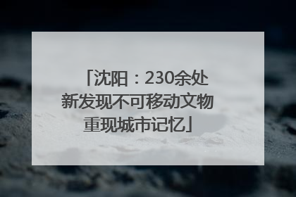 沈阳：230余处新发现不可移动文物重现城市记忆